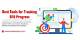 Automate Your Seo Ranking Tracking: Track Progress, Dominate Serps
