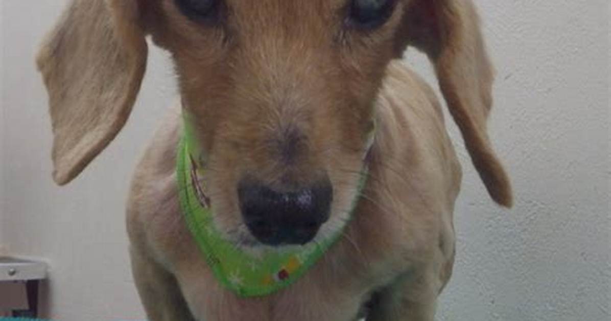 E3 81 A1 67084026454975488551548715739090921720183928025265474768478774858793522682350228318462309727327167369927805187389797193334258952