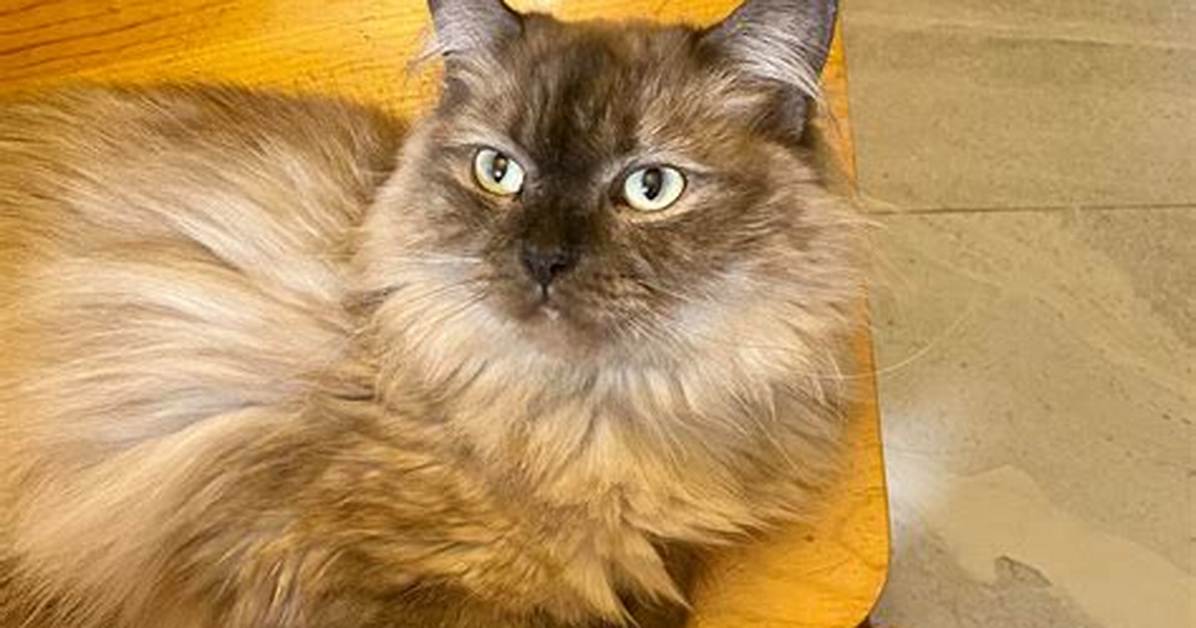 E5 B0 8F 8728491415697017255117347337255123677572255117673527255117295537235017547527
